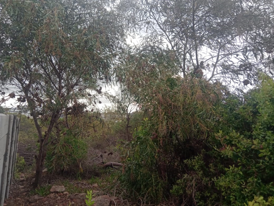 Commercial Property for Sale in Wavecrest Eastern Cape